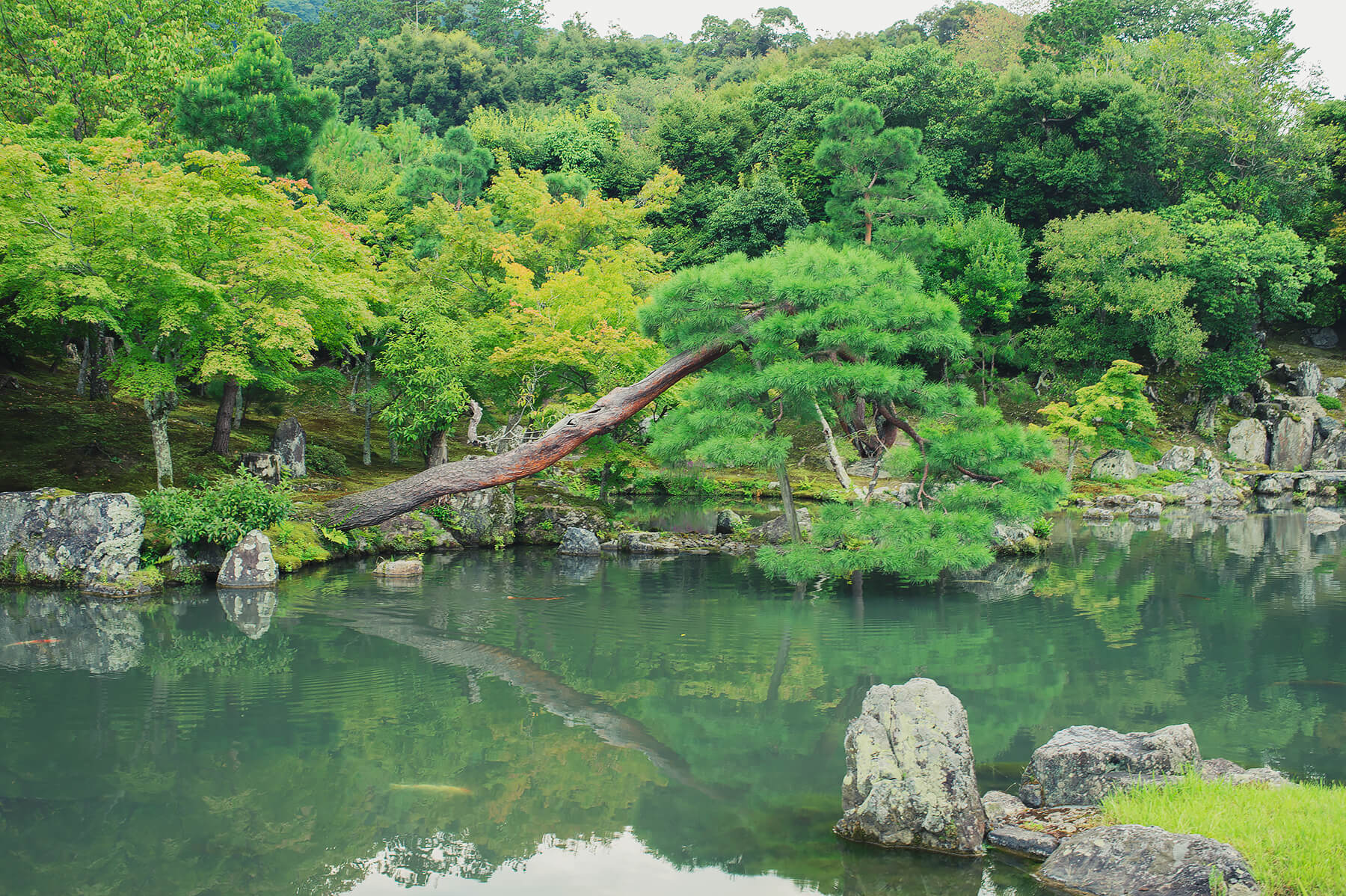 
          京都「天龍寺」の庭園写真3
      