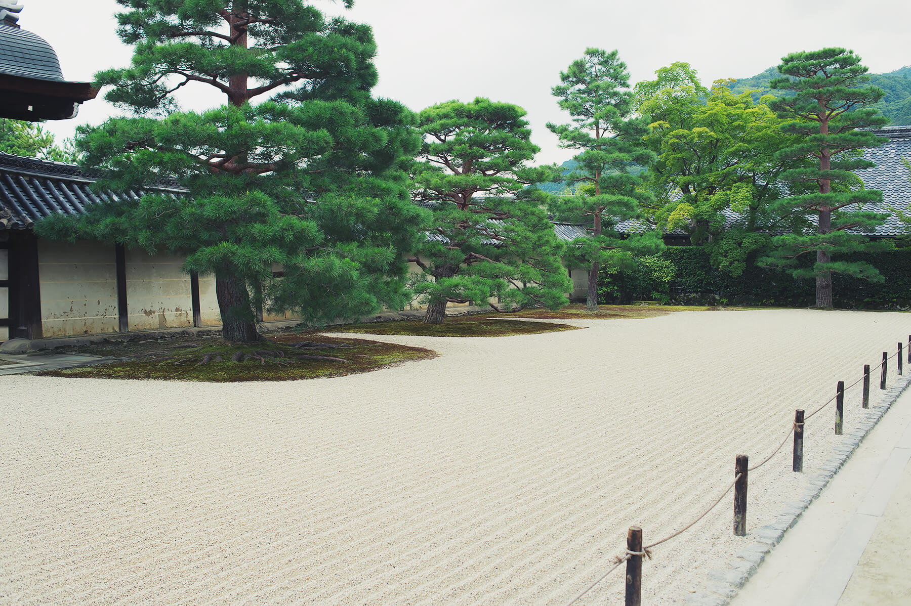 
          京都「天龍寺」の庭園写真5
      
