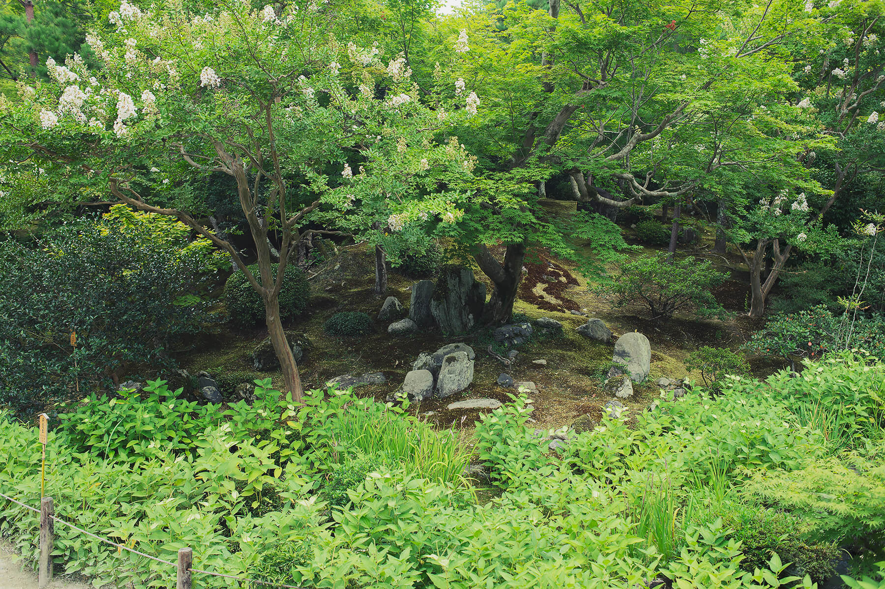 
          京都「天龍寺」の庭園写真6
      
