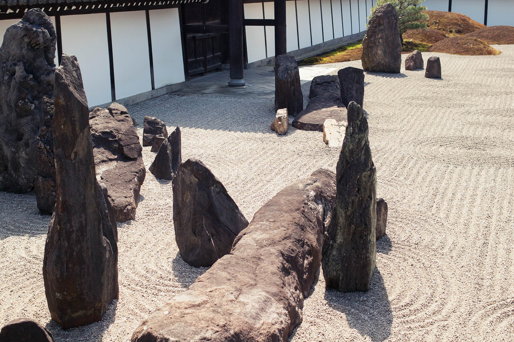 
          京都「東福寺本坊」の庭園写真1
      