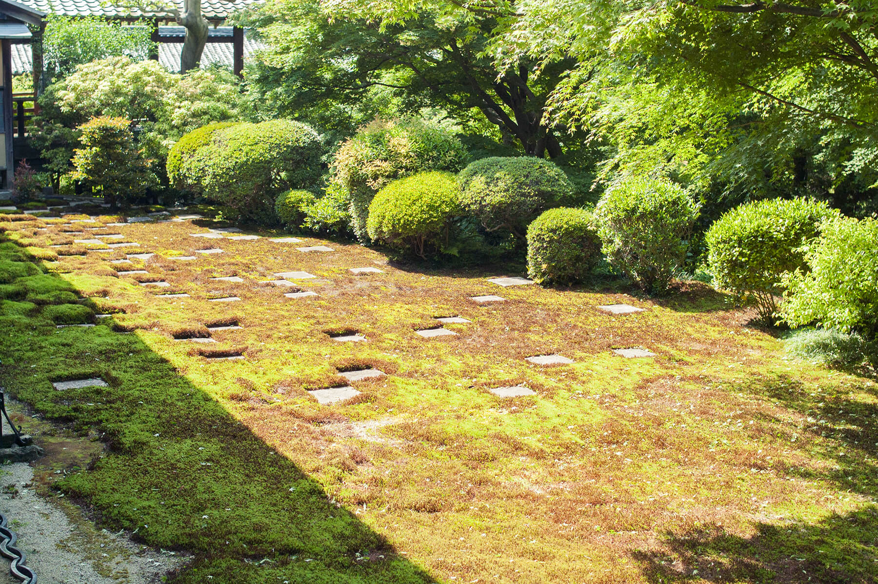 
          京都「東福寺本坊」の庭園写真2
      