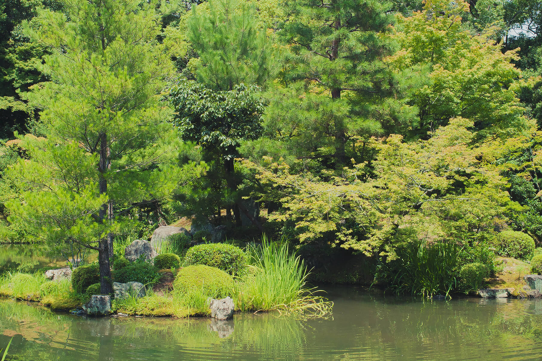 
          京都「等持院」の庭園写真2
      