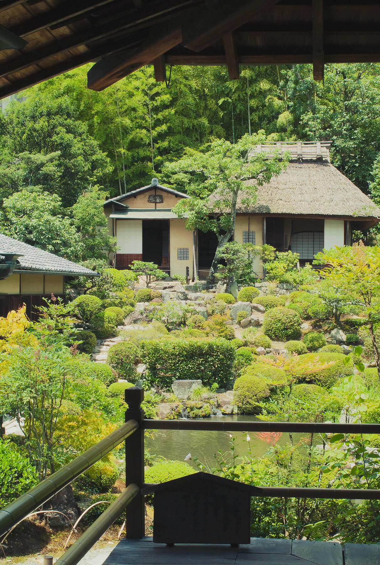
          京都「等持院」の庭園写真3
      