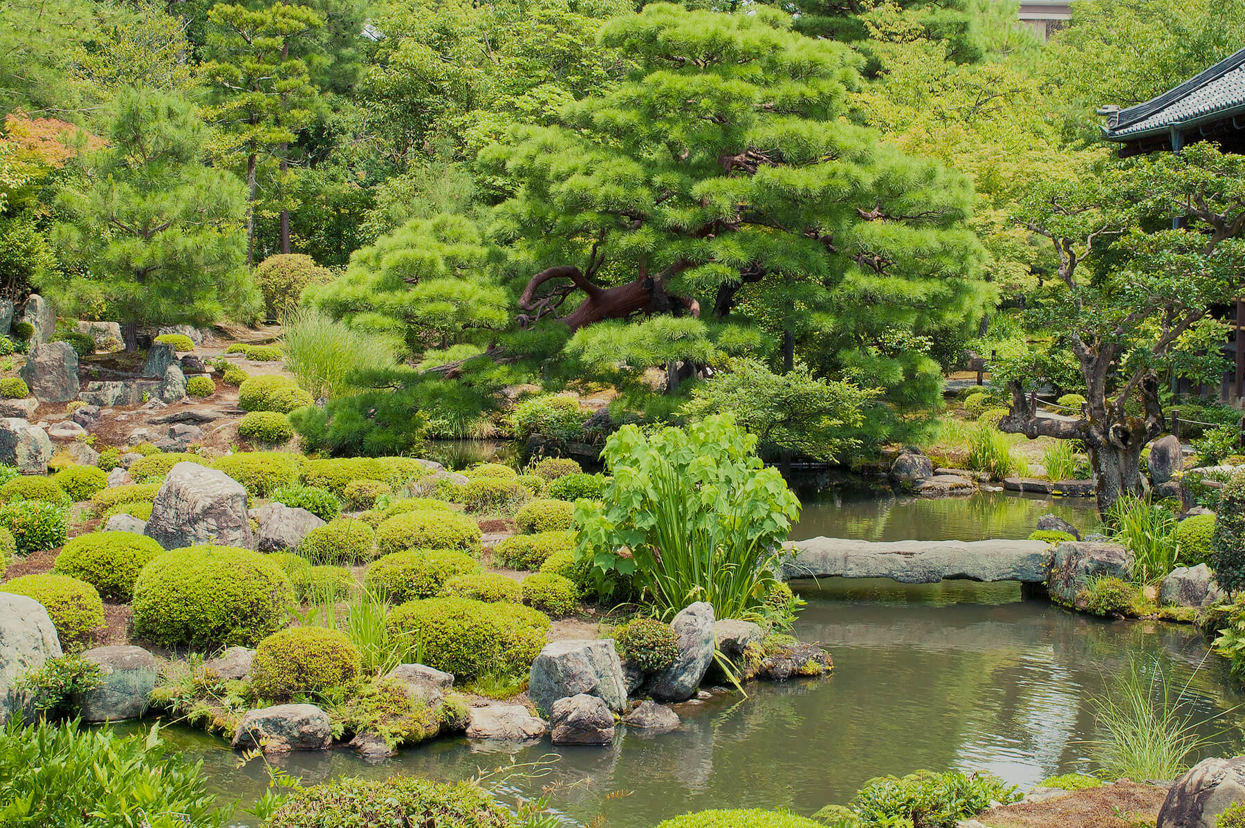 
          京都「等持院」の庭園写真1
      